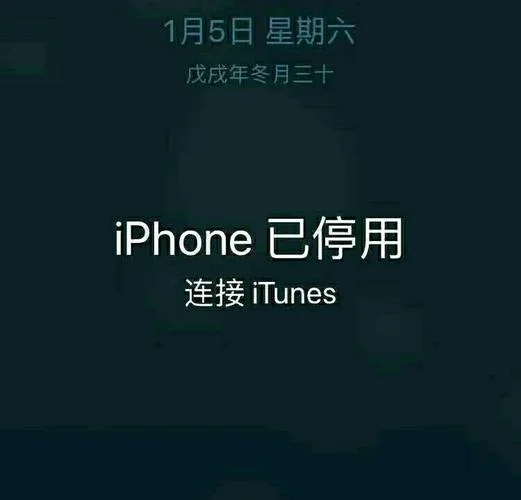 苹果ipad停用了怎么办-iPhone 无法开机