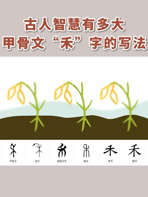 禾字的出处_1