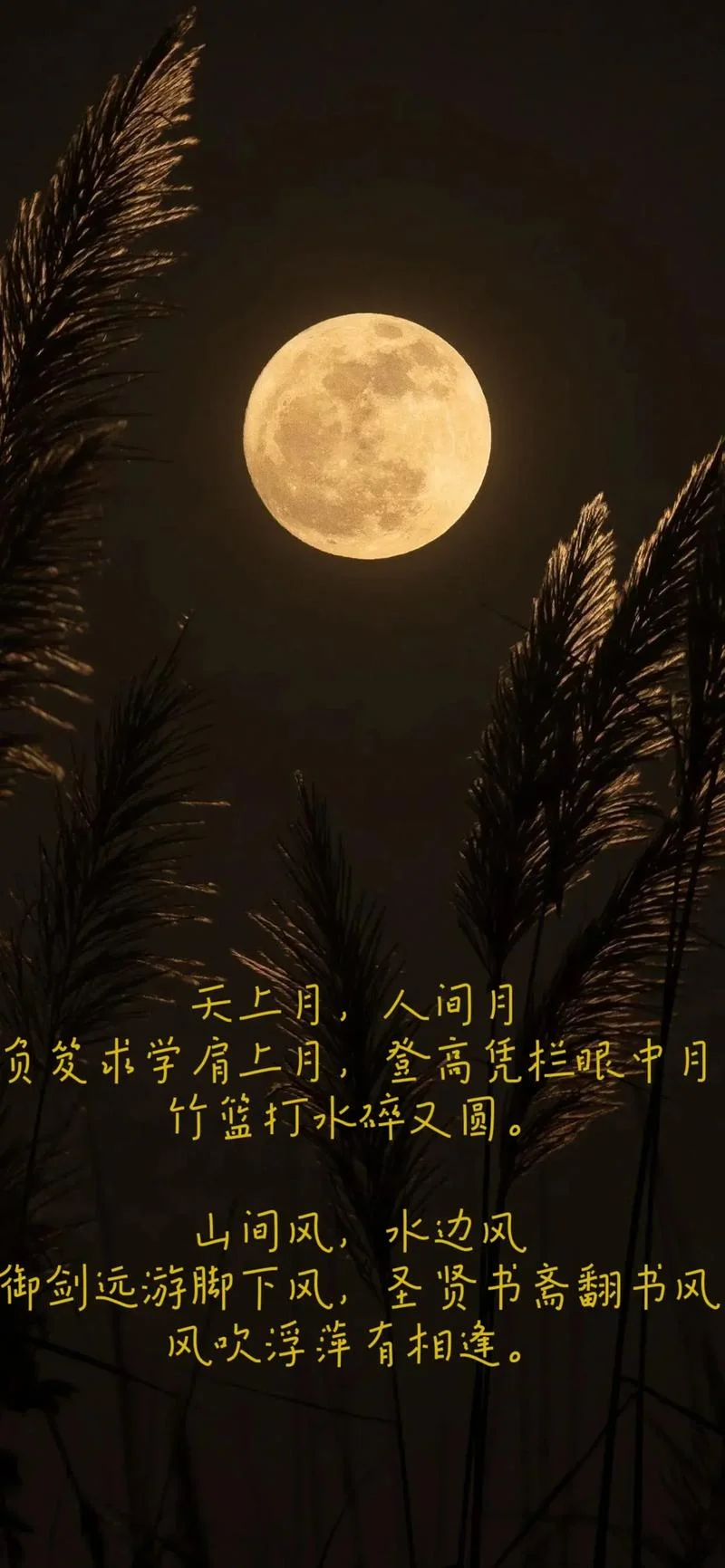 海上月是天上月出处_1