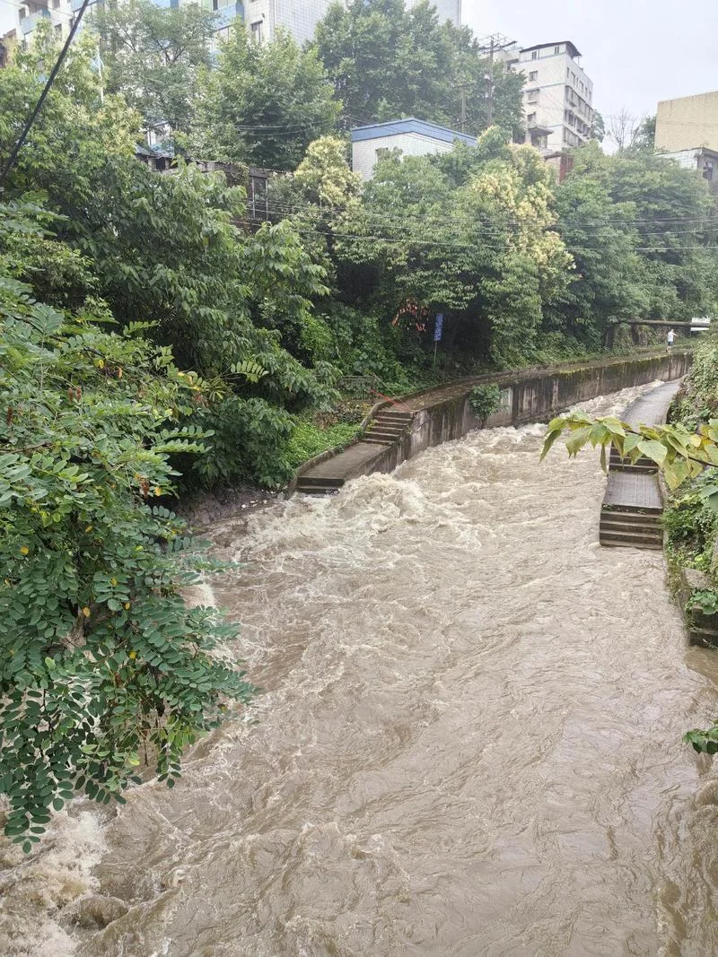 梦见雨下得很大,洪水快上河岸了_2