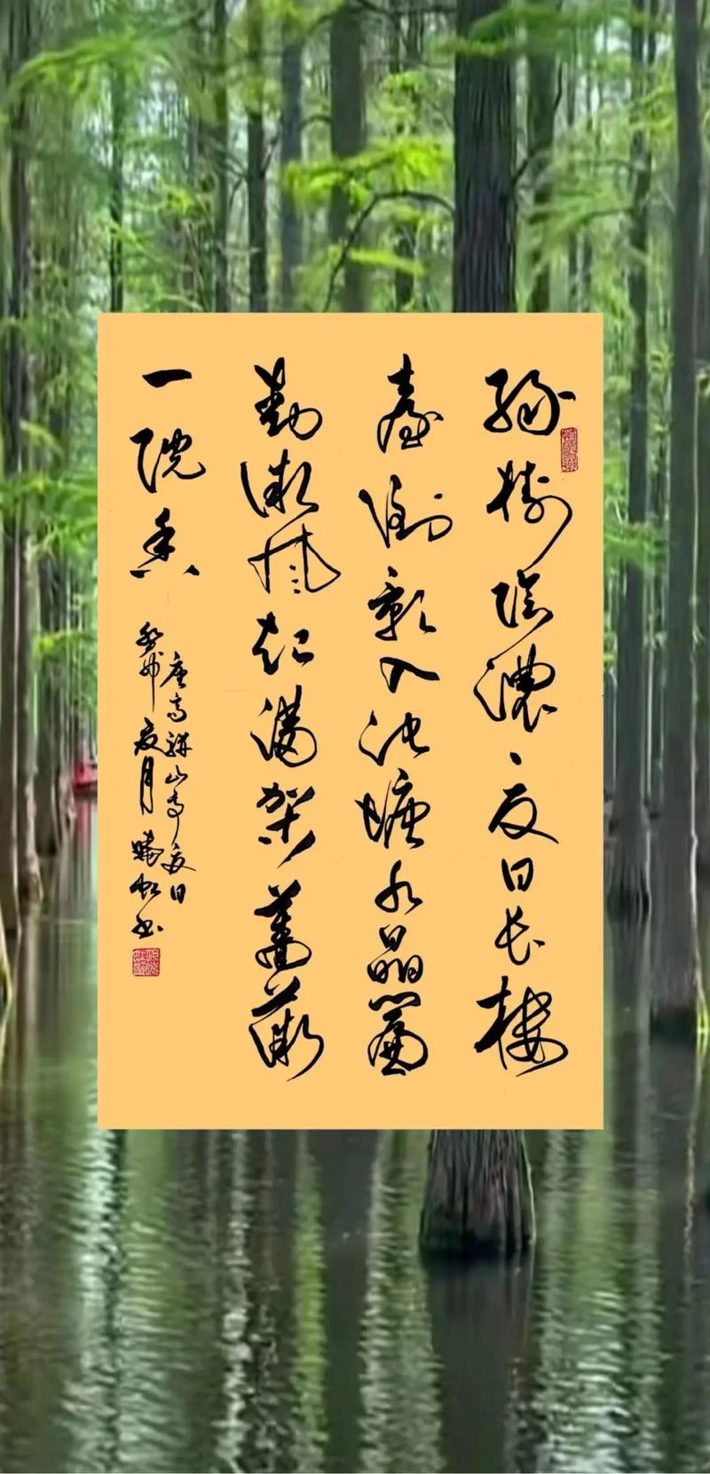 楼台倒影入池塘上一句_1