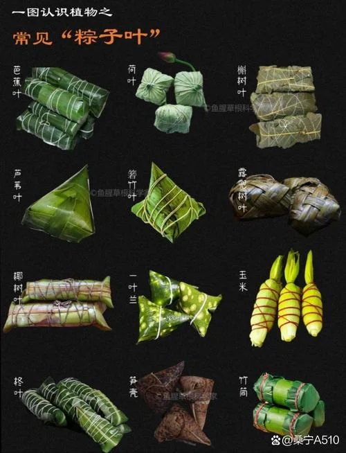 包粽子的叶子叫什么树_2