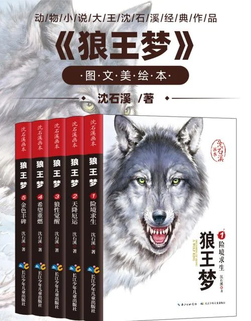 王狼梦的作者是谁_2