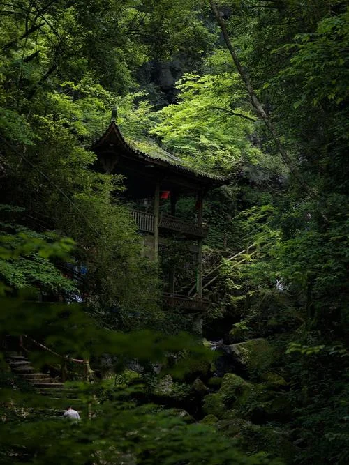 安吉旅游必去景点-安吉必游景点