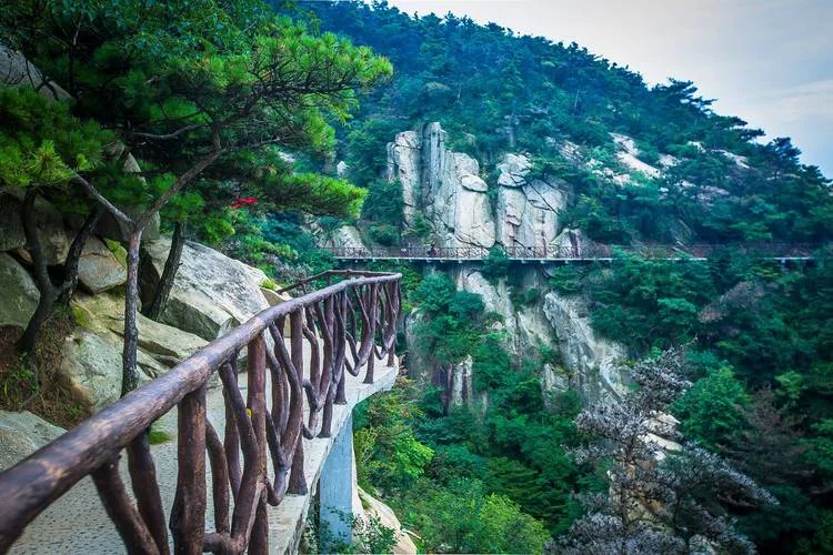 山东临沂自驾免费景点_1
