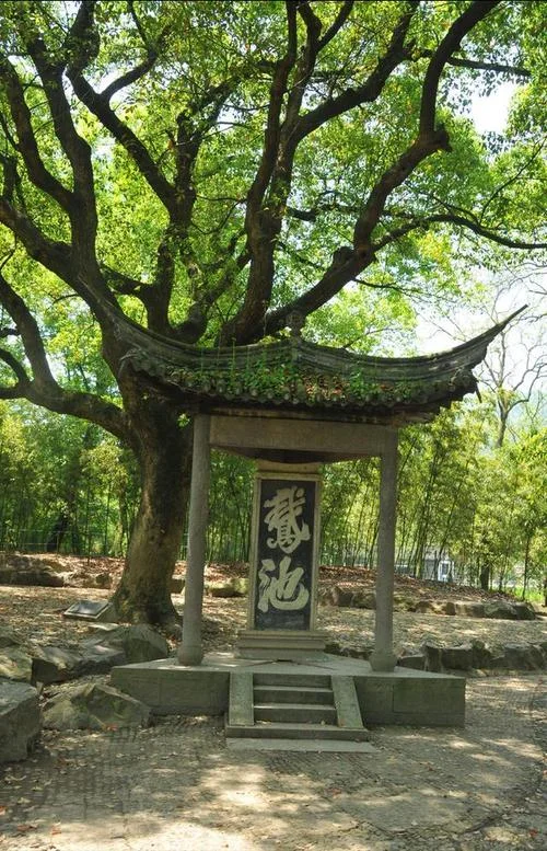 鹅池是谁写的-鹅池作者是谁