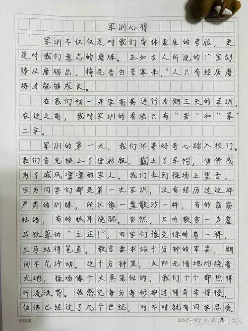 军训感悟大学生_1