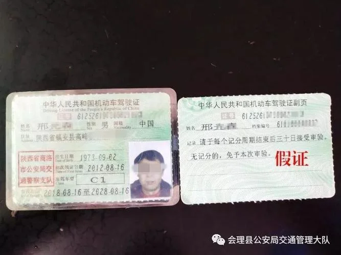 驾驶证查询真假怎么查_2