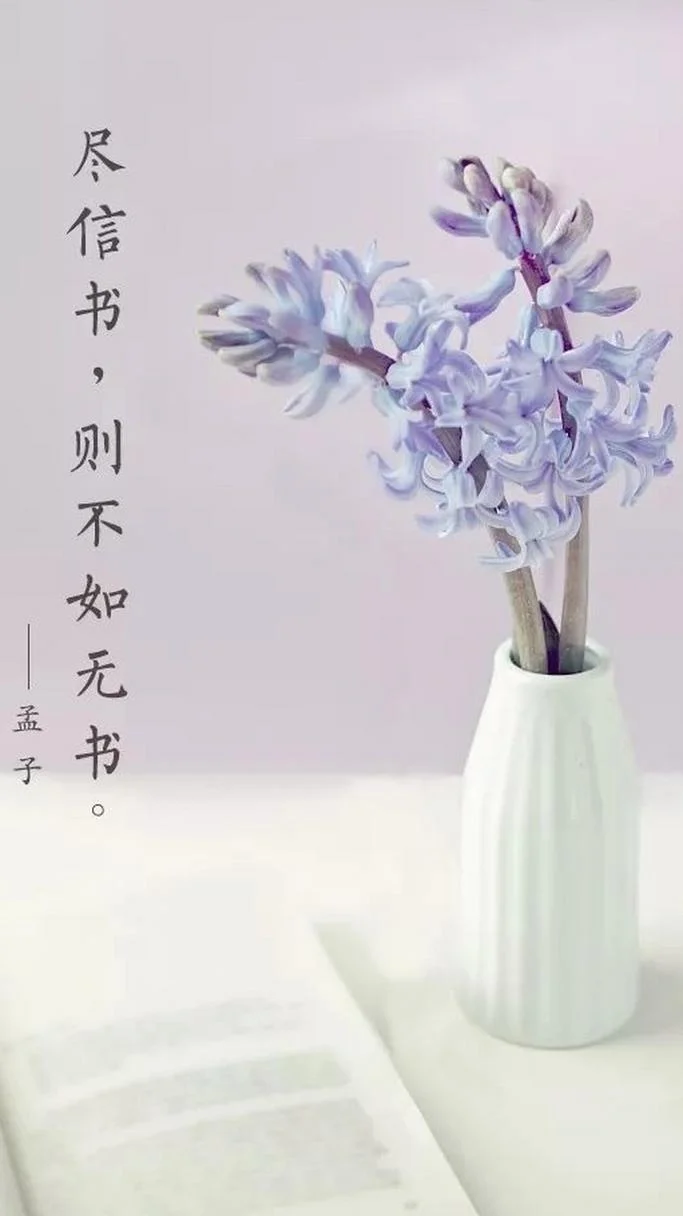 尽信书不如无书的出处_1