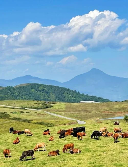 十二月腾冲旅游热门景点_2