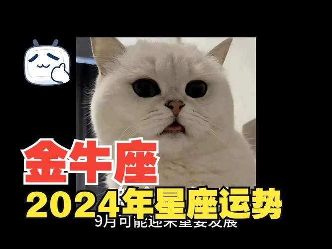 2024年3月份金牛座运势-3 月金牛运势