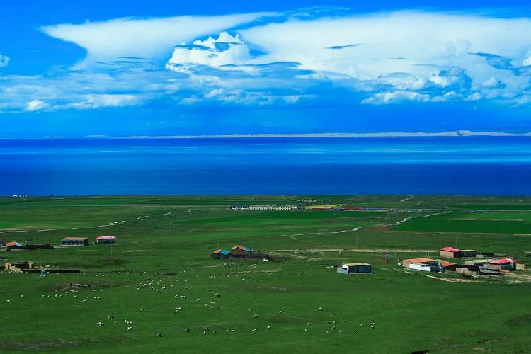旅游青海湖景点图片_1