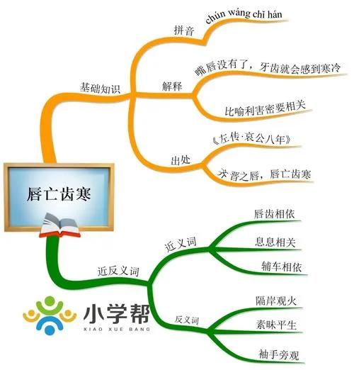 唇亡齿寒的故事和感悟_1