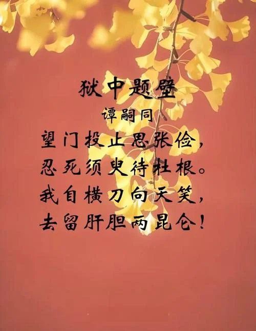 我自横刀向天笑的下一句_1
