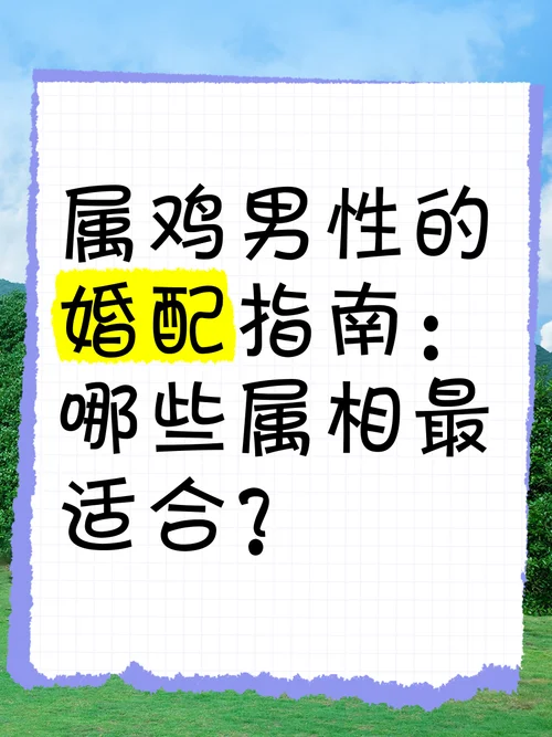 鸡年是哪一年最佳婚配_1