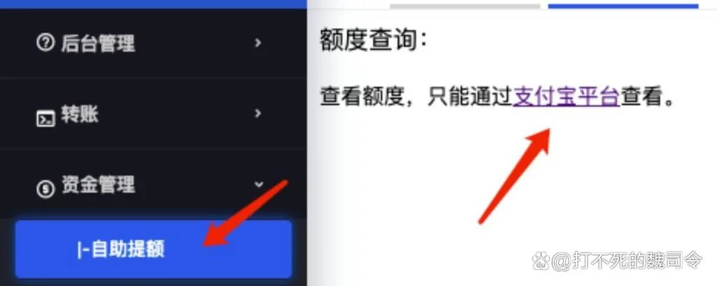 支付宝备付金在哪查_2