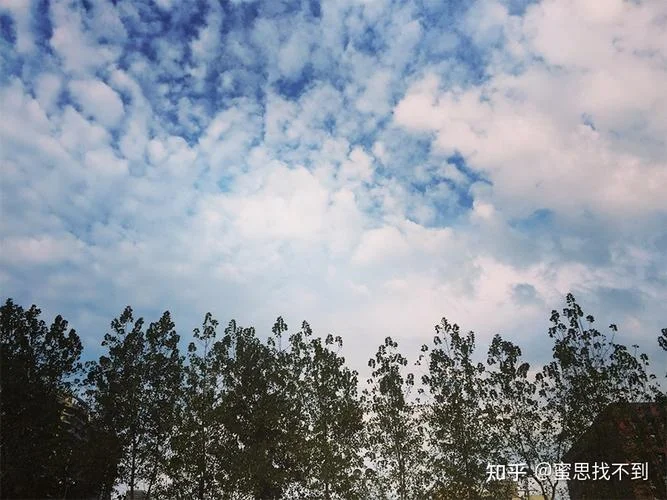 年少总爱空许诺出处_1