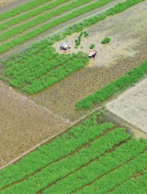 多少平方米为一亩地_1