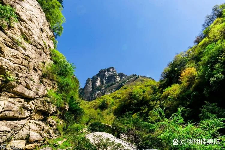 蓝田县周边旅游景点-蓝田周边游玩地