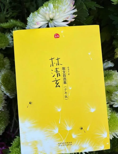 林清玄散文集读后感800字-林清玄散文读后感