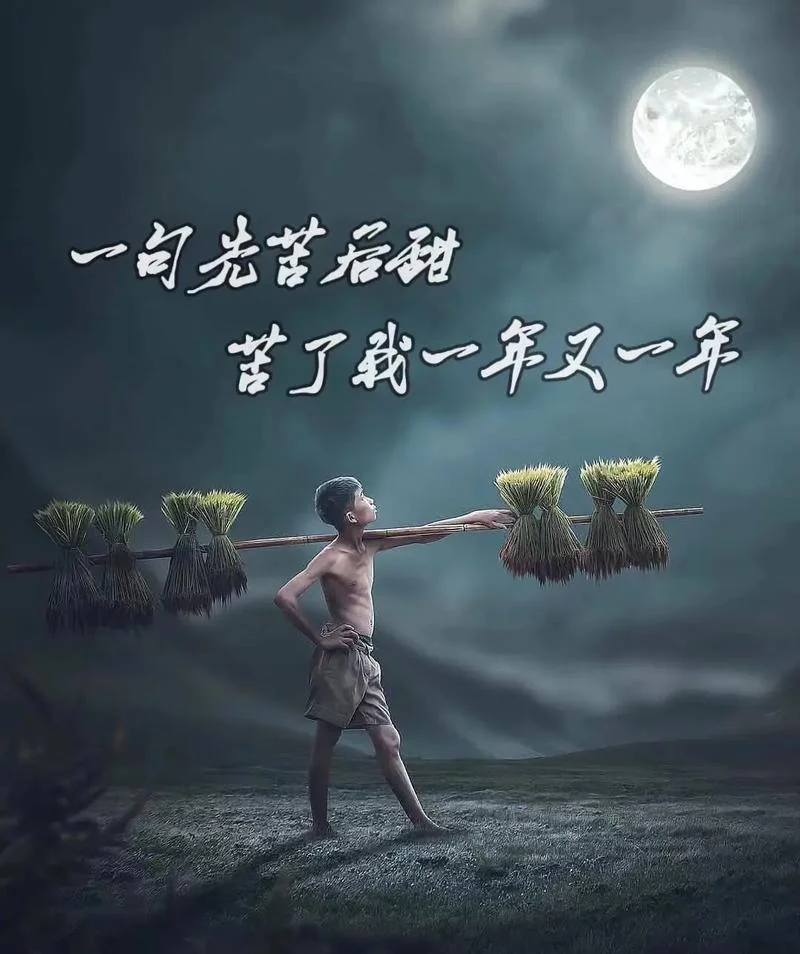 先甜后苦的人生感悟_1