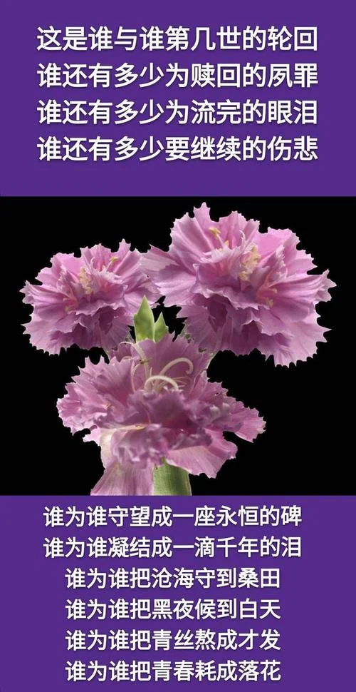你是谁的谁出自哪首歌_2