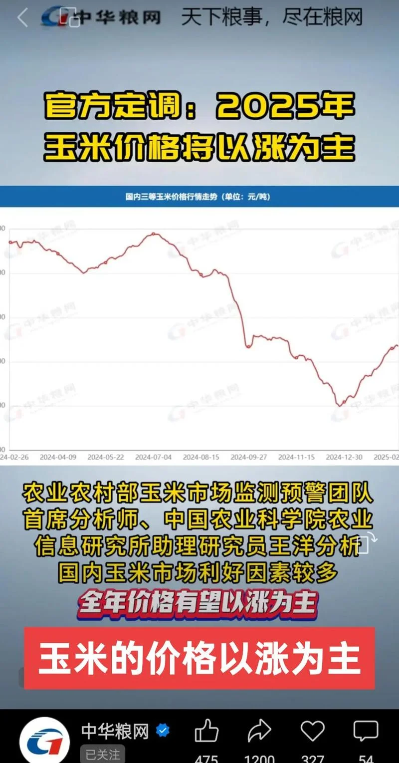 一亩地玉米能挣多少钱-玉米亩产收益多少