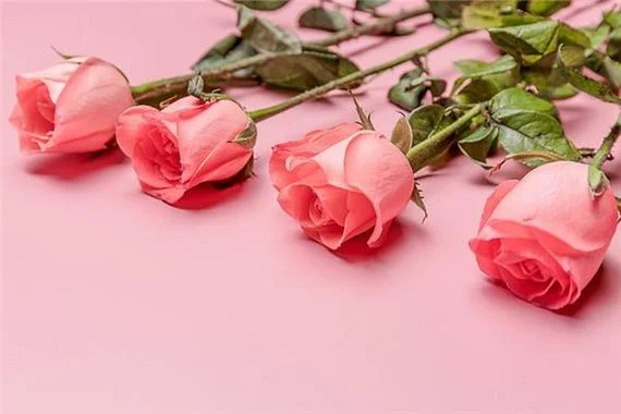 女人梦见接水是什么意思_1