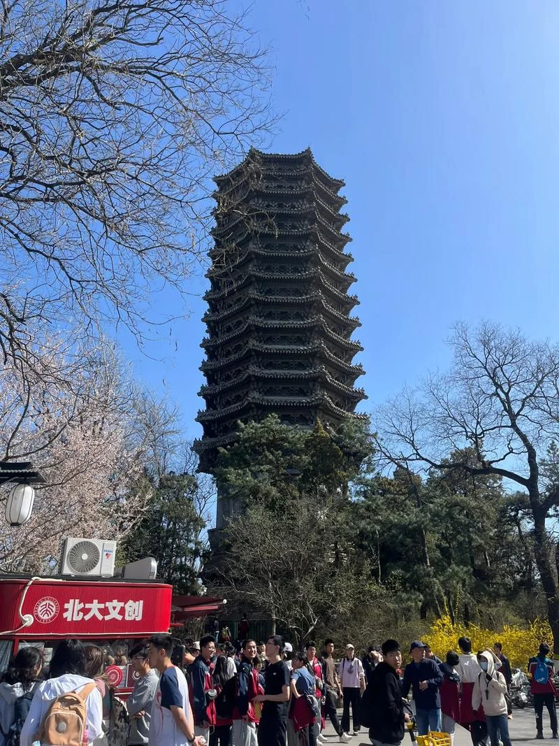 北京大学考研上岸-北大考研成功
