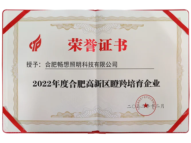 合肥高新区管委会成绩_1