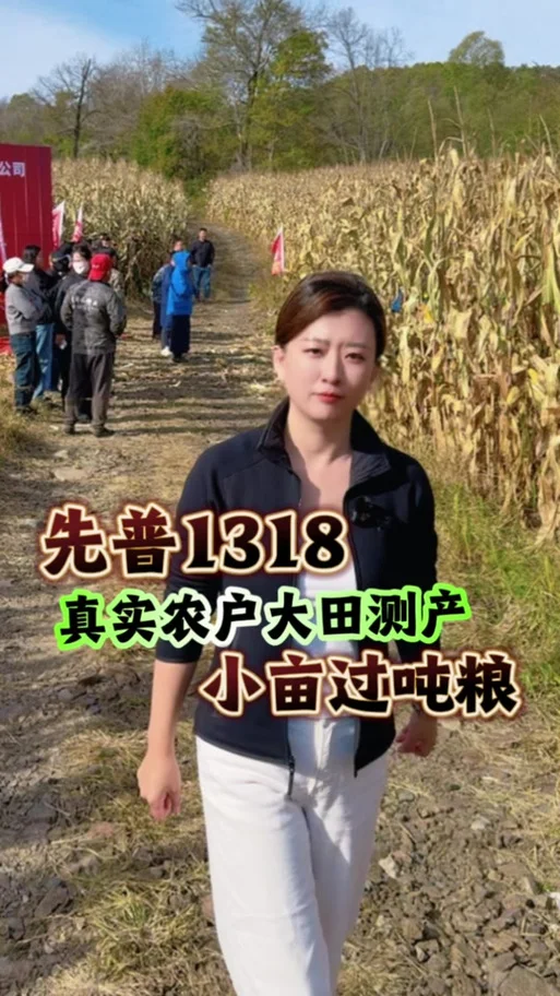 2大亩是多少小亩_2