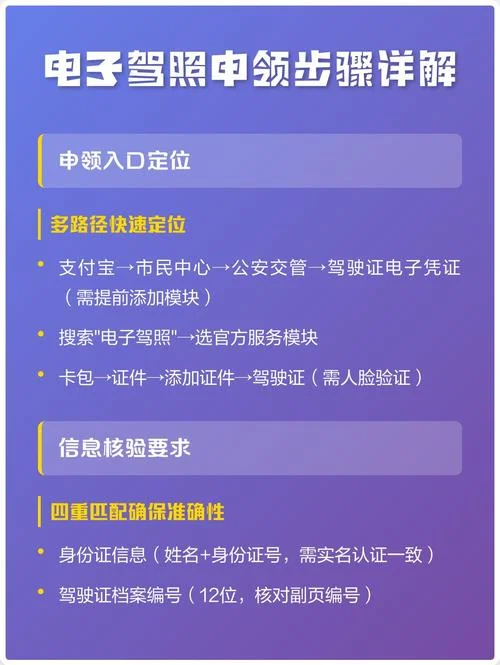 电子驾照在哪里查_2