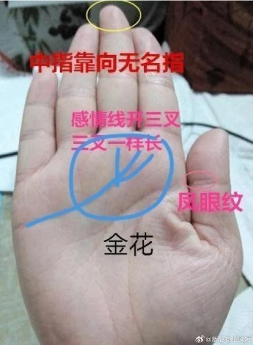 手相金花印纹什么意思-