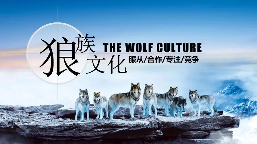 培训公司叫什么狼来的_2