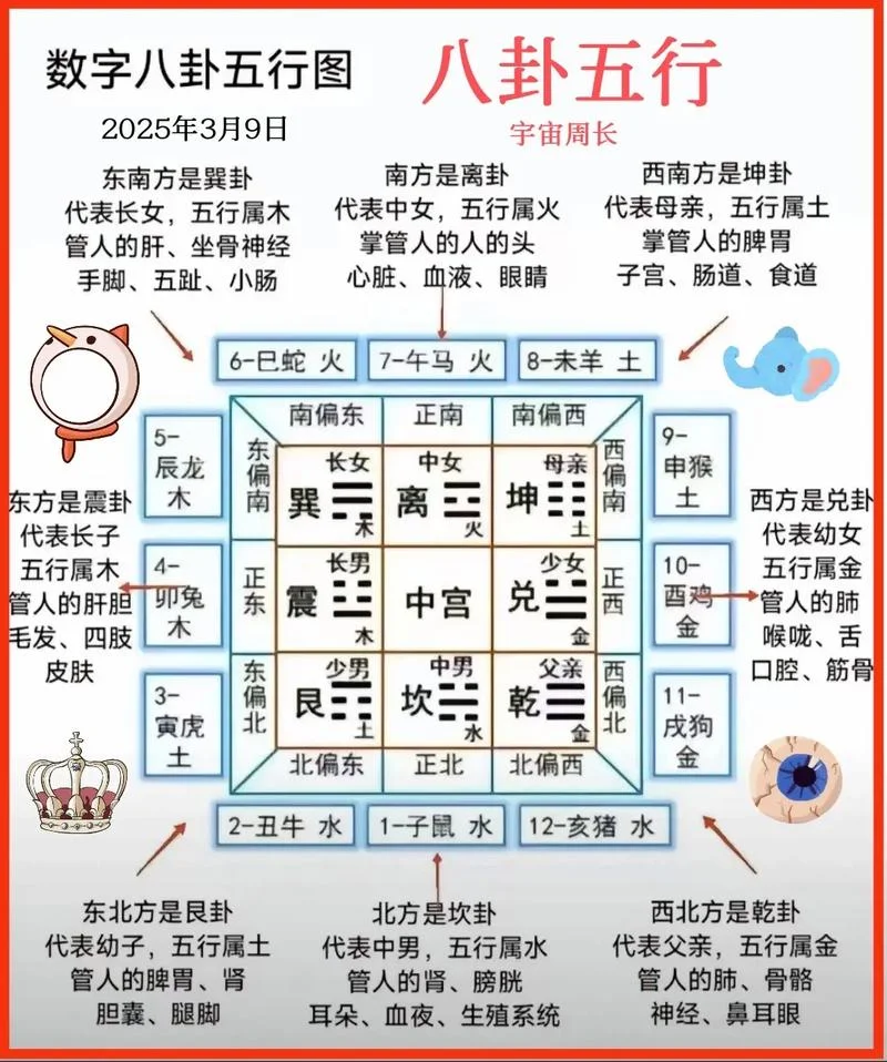 怎么算出自己的五行_1