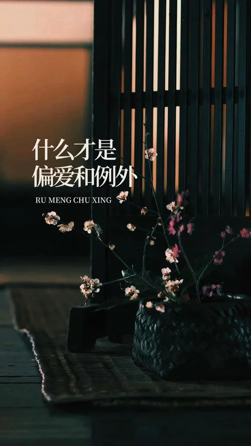 什么是偏爱什么是恋爱_2