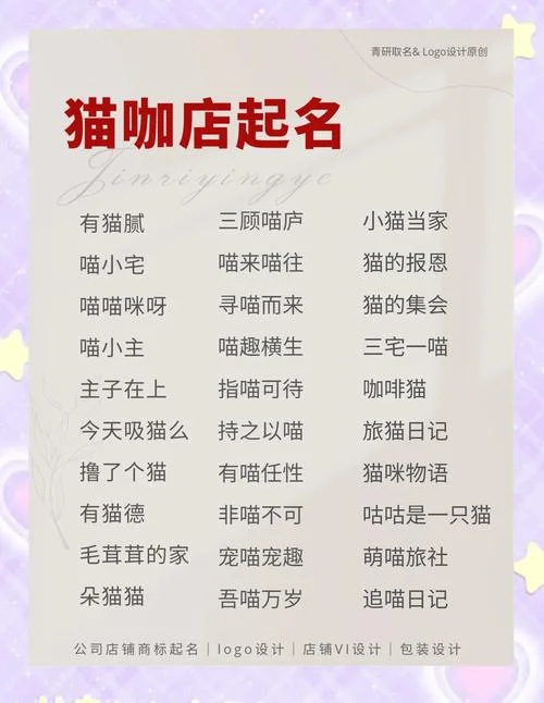 给小猫起名_2