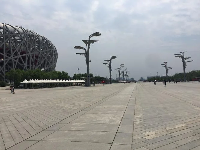 鸟巢水立方心得体会-鸟巢水立方感悟