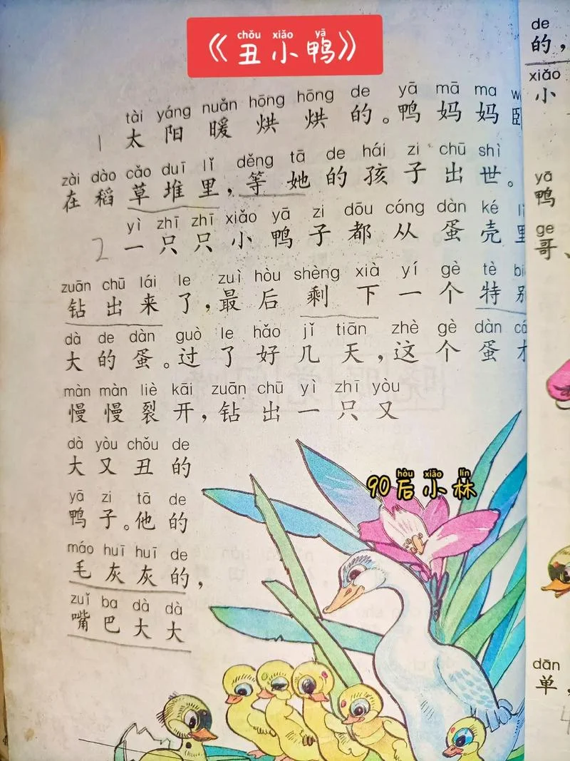 丑小鸭作者可能是谁_2