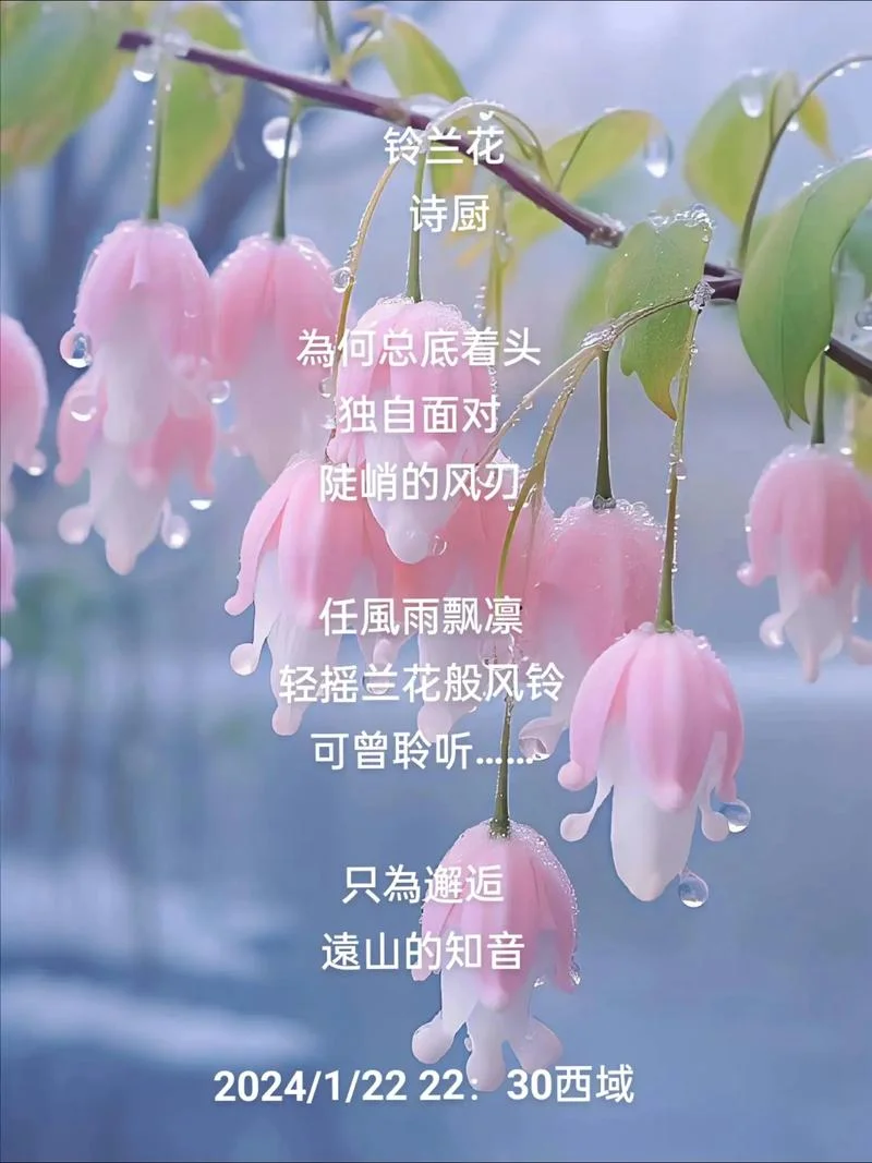 花若盛开蝴蝶自来出自_2