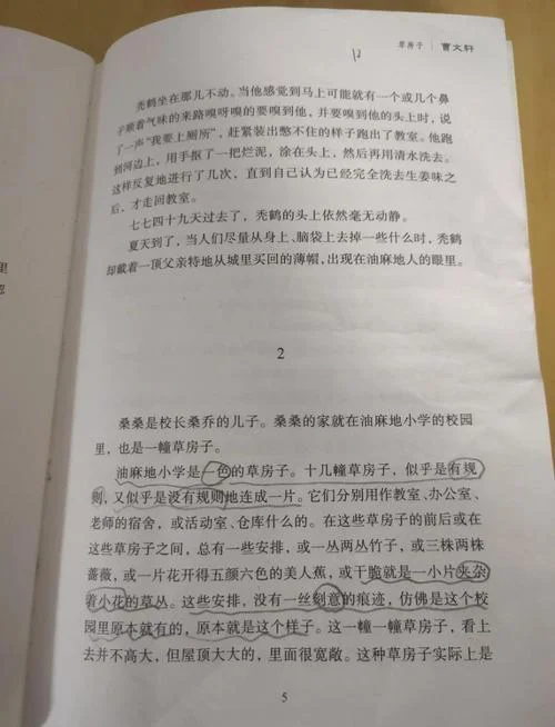 草房子第九章感悟-草房子第九章感悟浓缩