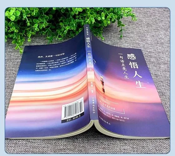 感悟人生的书籍_1