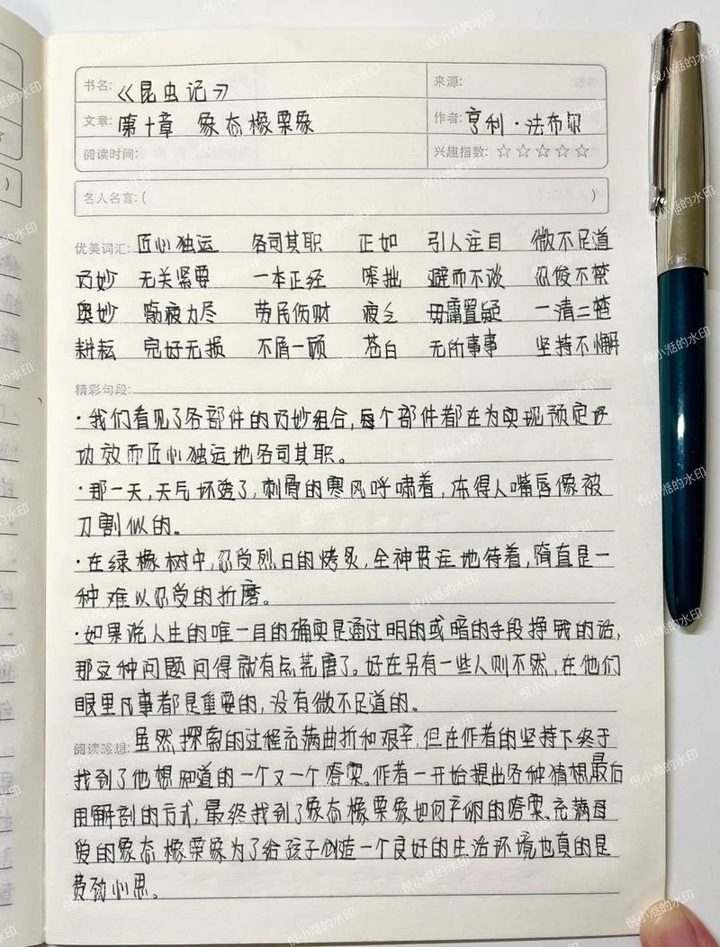 昆虫记读书笔记感悟_1