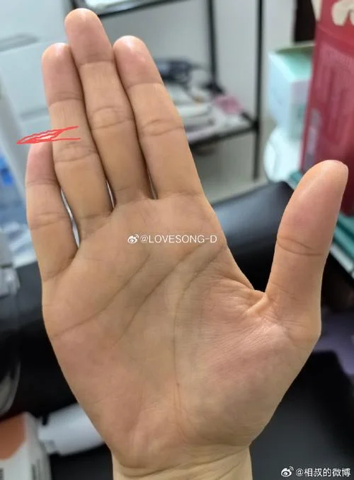 手相直觉线图片_1