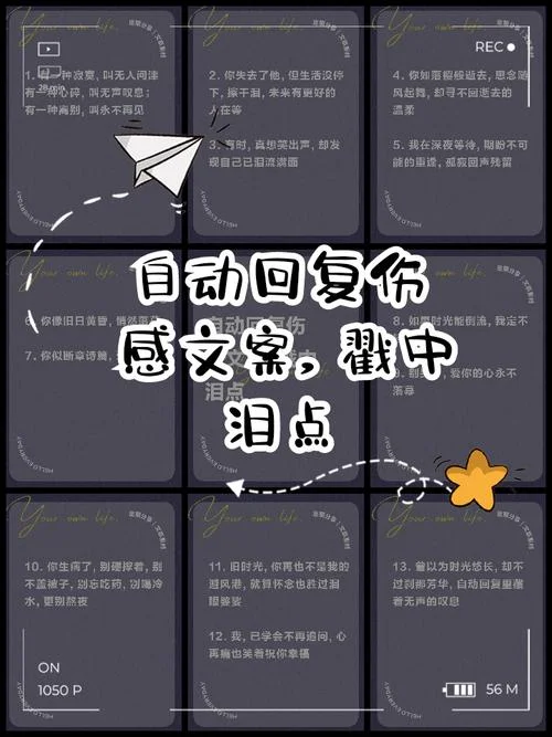 秒回是什么意思_1