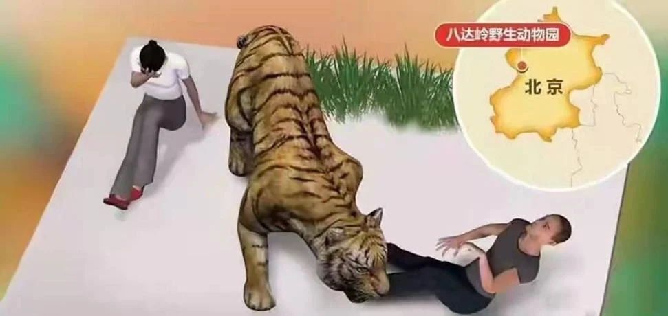 梦到老虎咬我_1