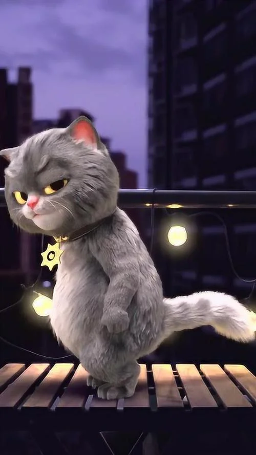 斑布猫出自哪里_1