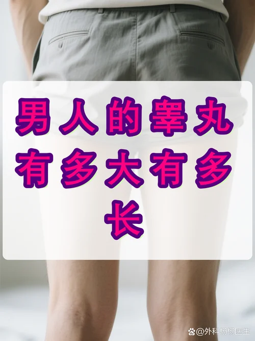 男生的蛋叫什么_1