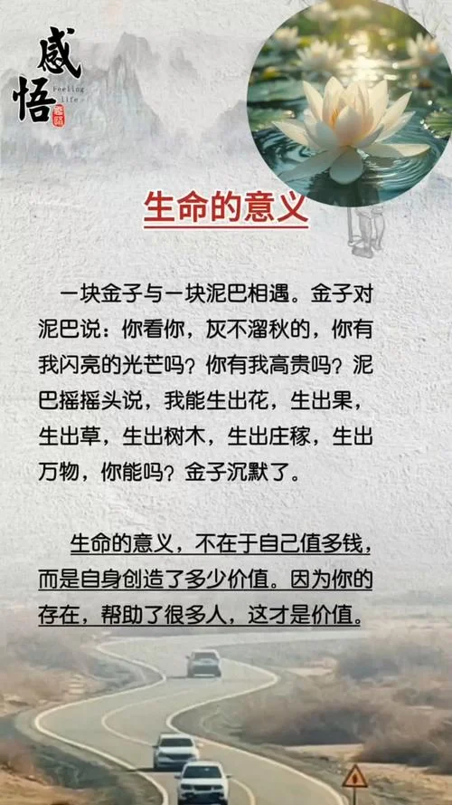 对生命的感悟10句话_1