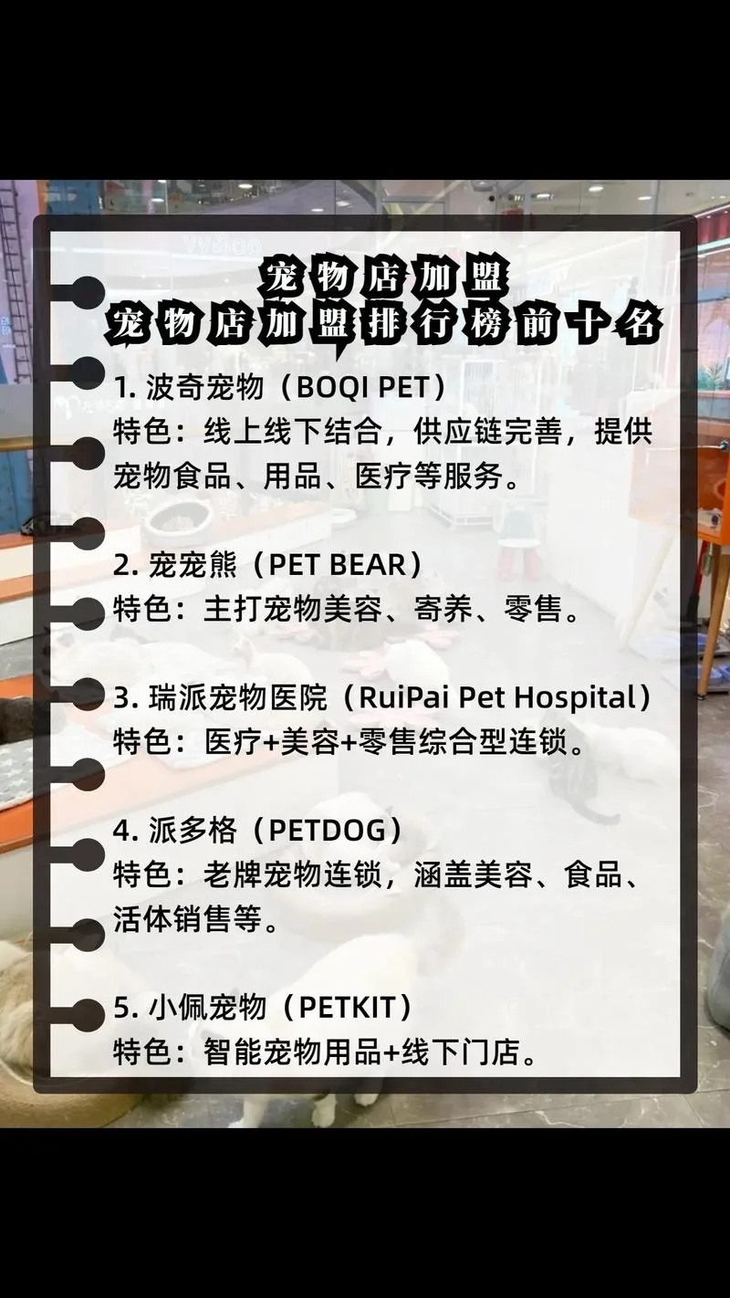 开宠物店投资多少钱-开宠物店投资多少